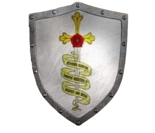 Team Logo