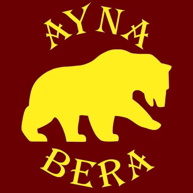 Team Logo