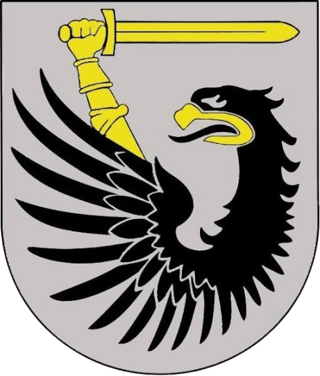 Team Logo